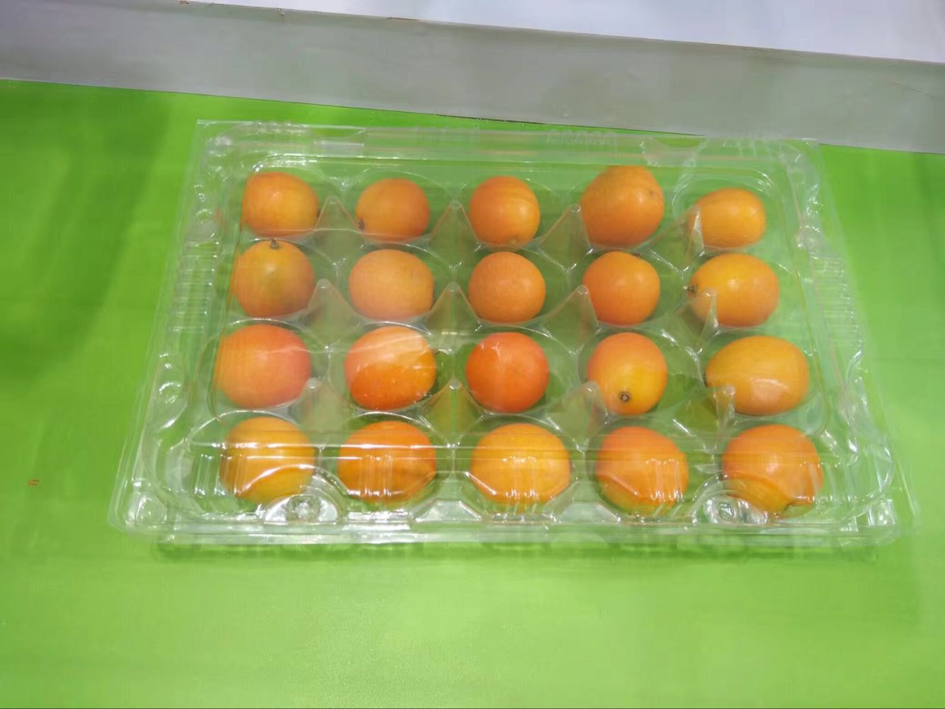 一次性塑料托盘 一次性塑料托盘